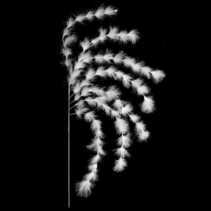 Guirlande de Noël Plumes blanches pailletées L 140 cm collection Sarah B. -  Guirlandes de noël et cheveux d'ange pour sapin - Dé