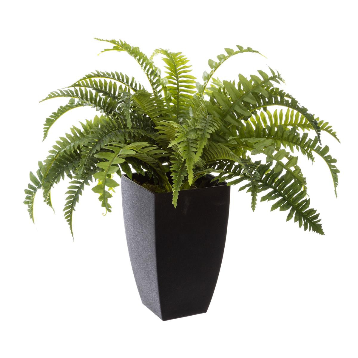 Fausse plante Aloe Vera 45 cm : plante artificielle Aloe Vera – INSIDE Box  - Shop - Conseil