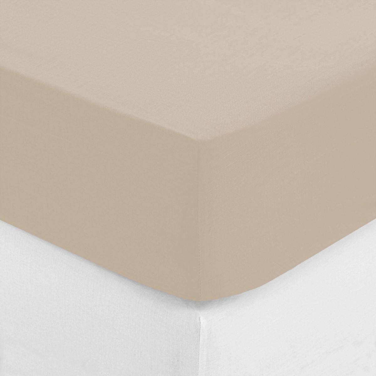 Drap Housse 2 Personnes Beige Foncé Today 140x190